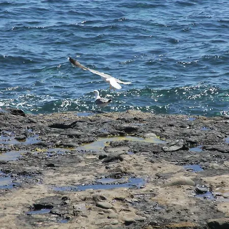 Seagull Estudios Apartamento